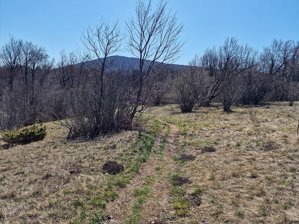 Slika je vidna v Google Chromu.