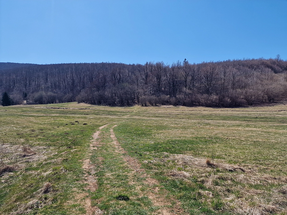 Slika je vidna v Google Chromu.