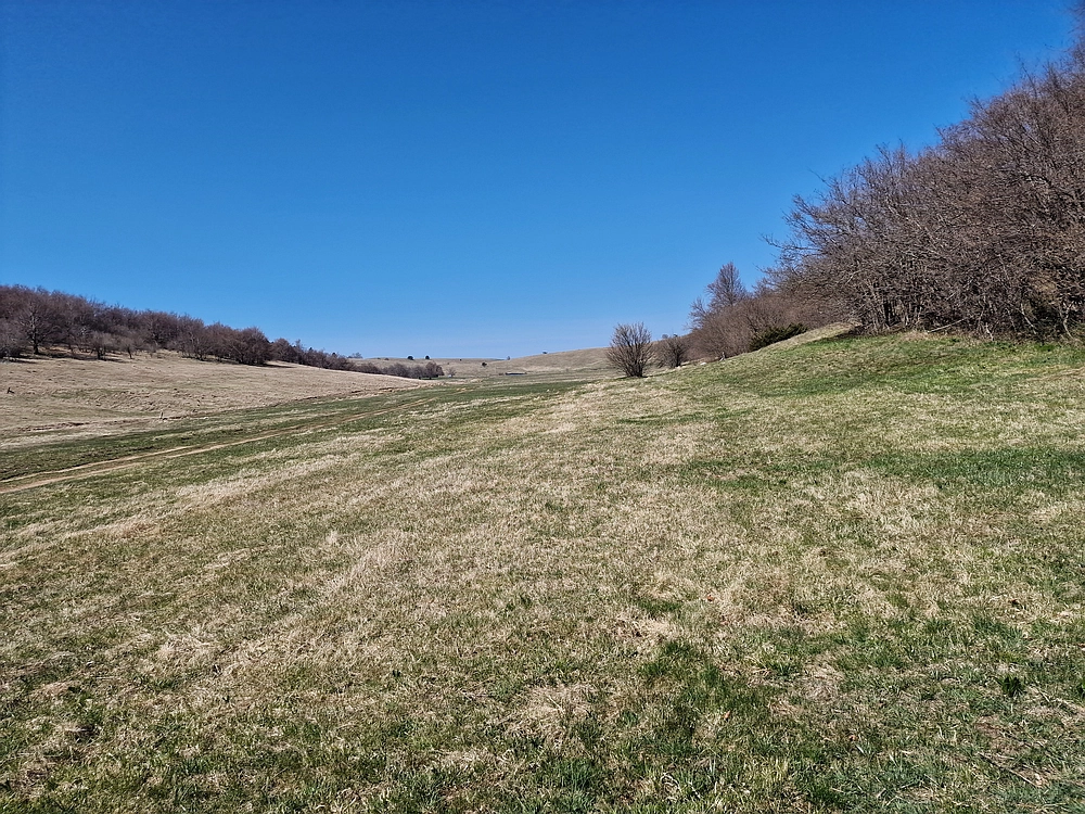 Slika je vidna v Google Chromu.