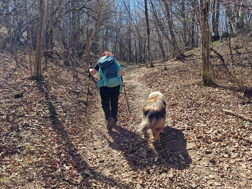Slika je vidna v Google Chromu.