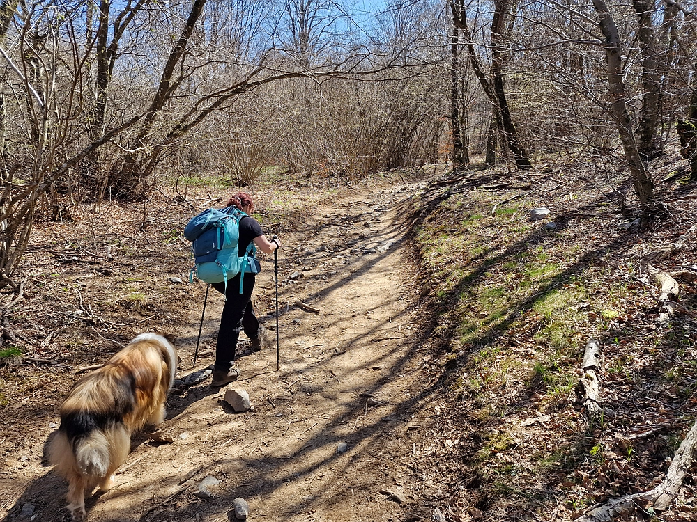 Slika je vidna v Google Chromu.