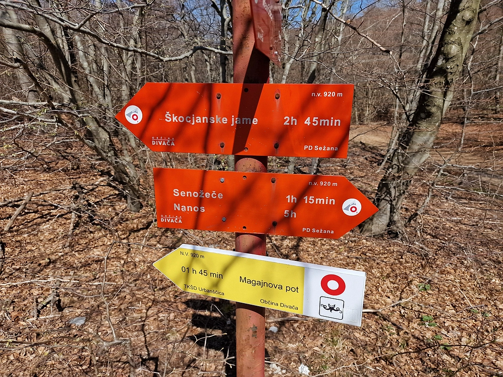 Slika je vidna v Google Chromu.