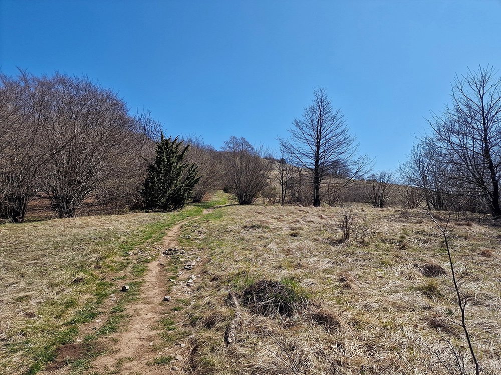 Slika je vidna v Google Chromu.