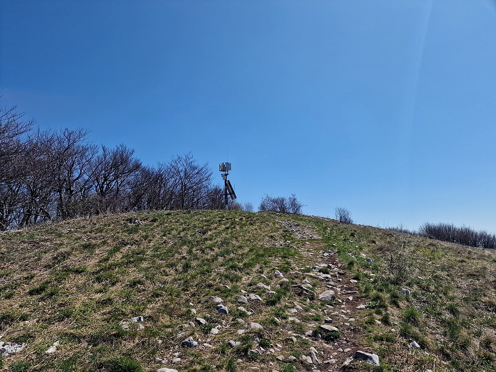 Slika je vidna v Google Chromu.