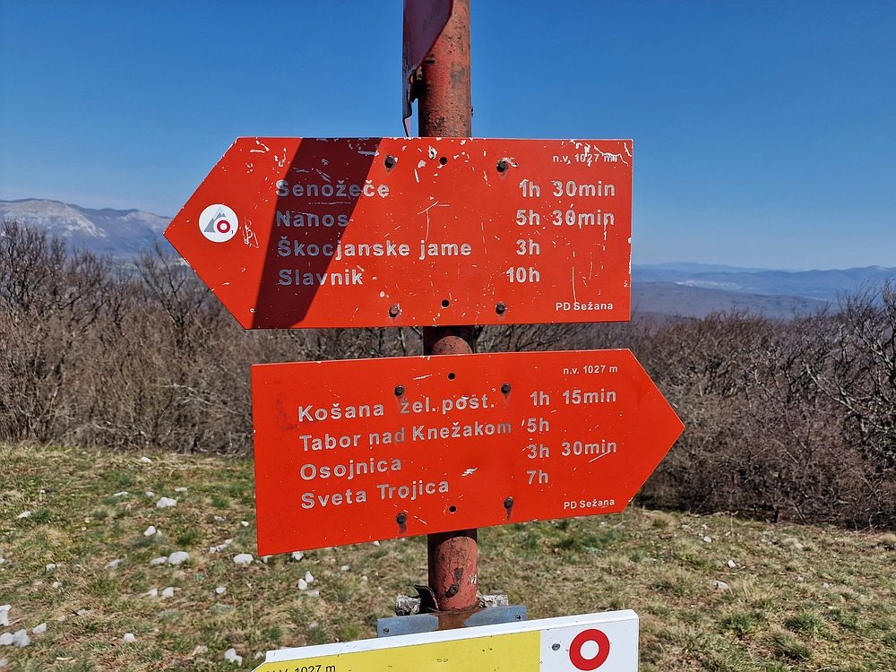 Slika je vidna v Google Chromu.