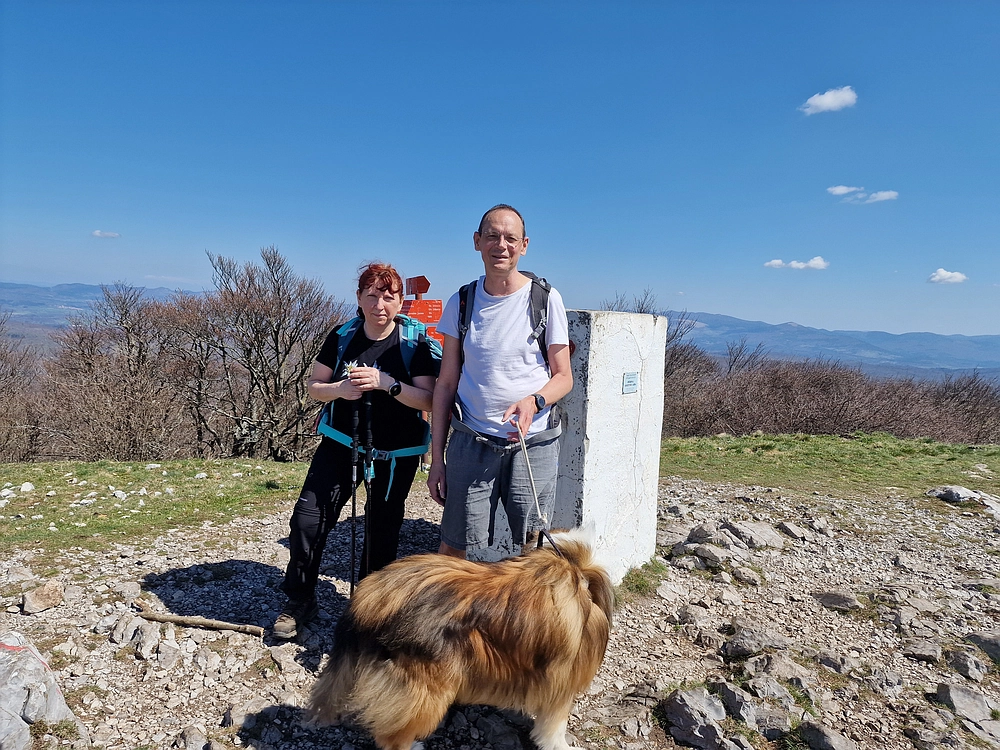 Slika je vidna v Google Chromu.