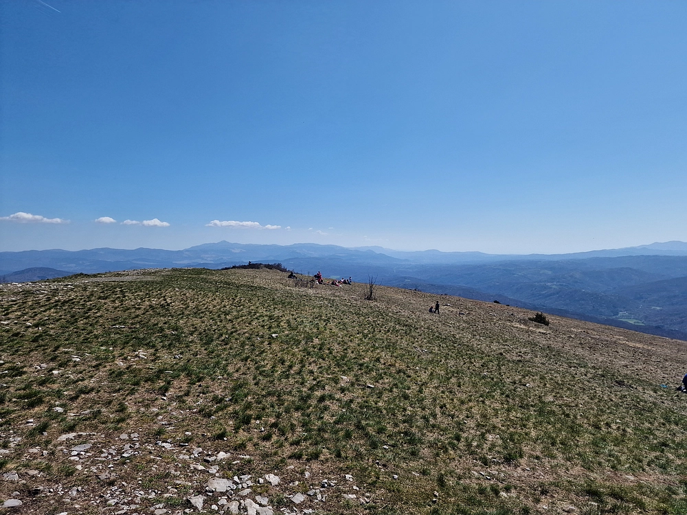 Slika je vidna v Google Chromu.