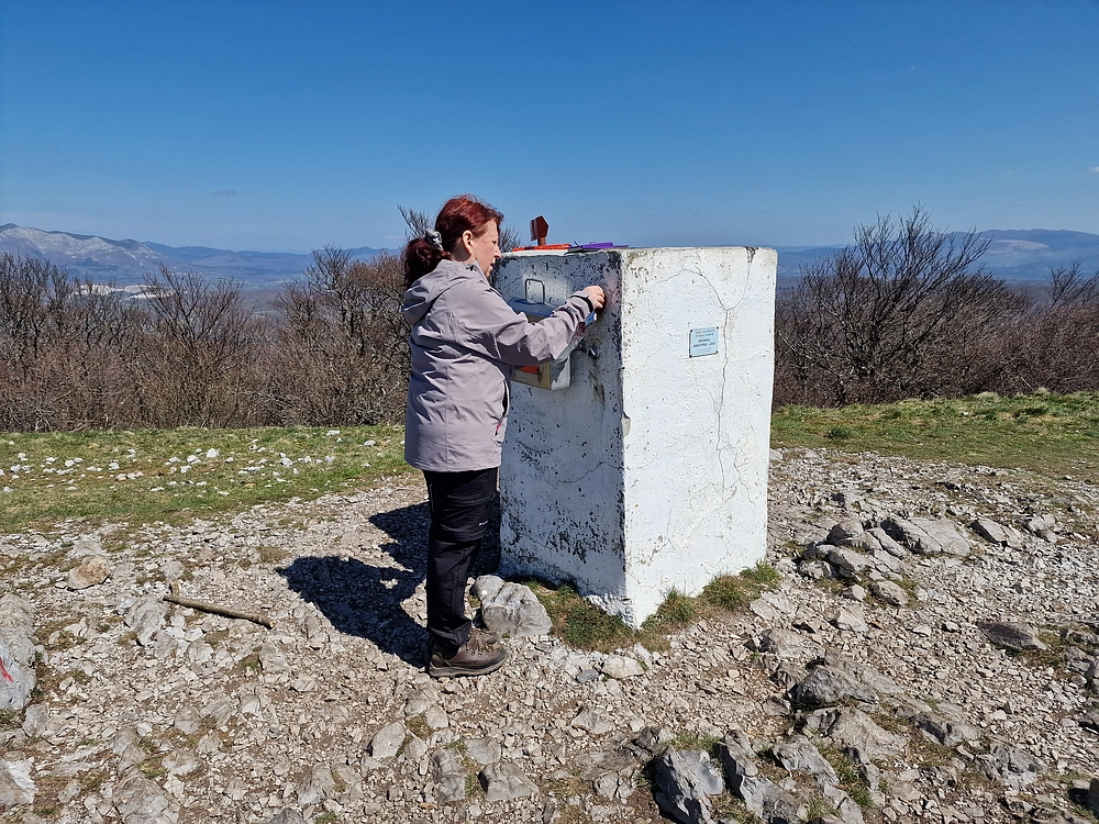 Slika je vidna v Google Chromu.