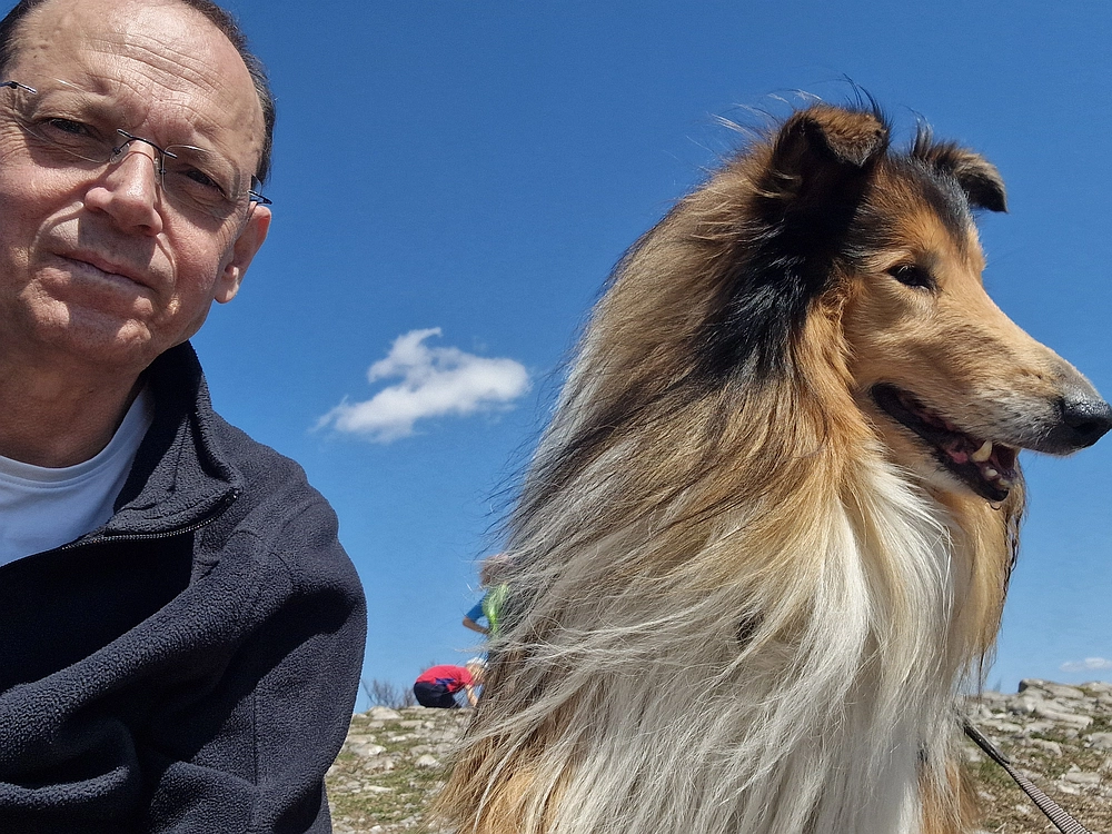 Slika je vidna v Google Chromu.