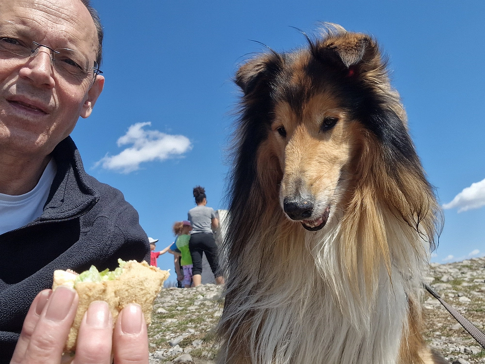 Slika je vidna v Google Chromu.