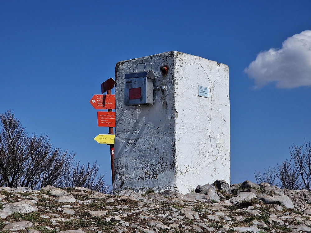 Slika je vidna v Google Chromu.