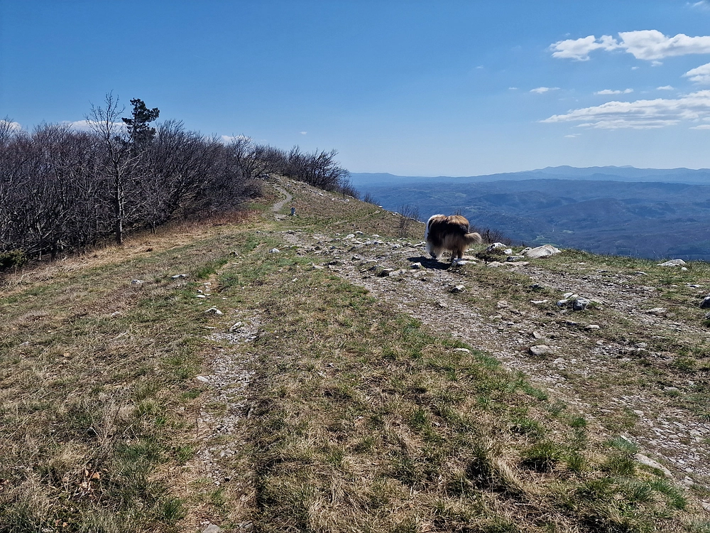 Slika je vidna v Google Chromu.