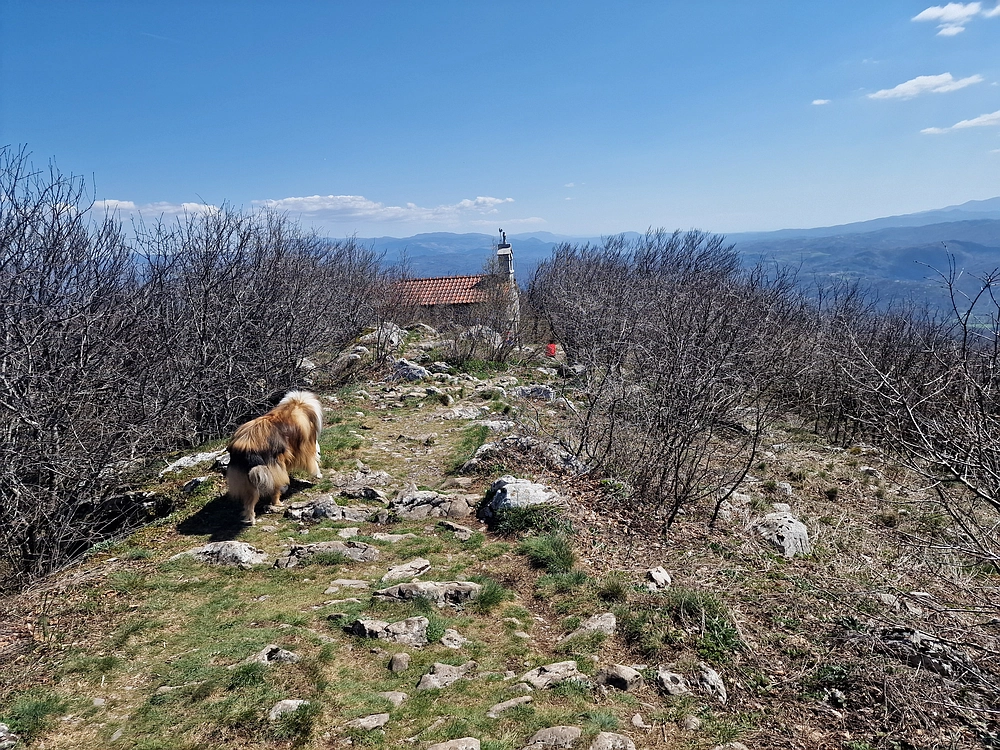 Slika je vidna v Google Chromu.