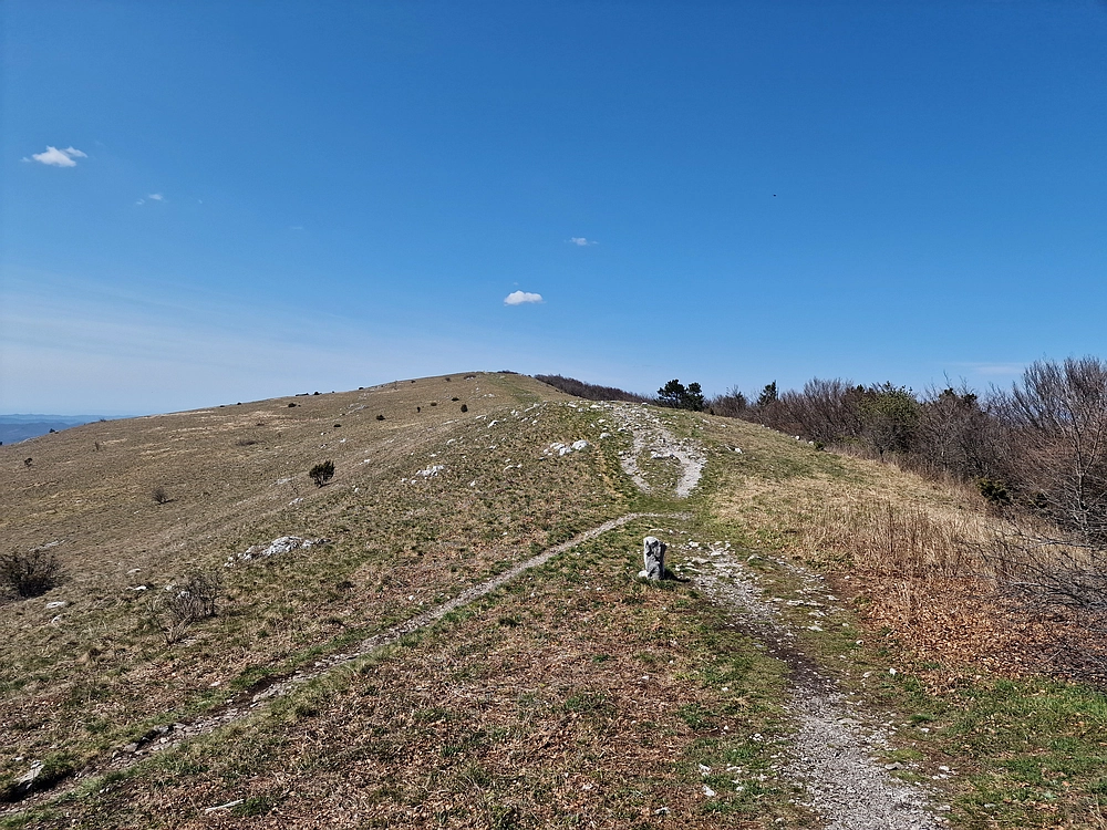 Slika je vidna v Google Chromu.