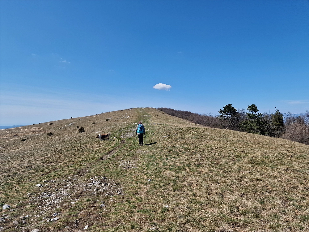 Slika je vidna v Google Chromu.