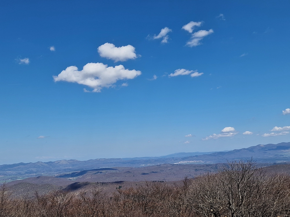 Slika je vidna v Google Chromu.