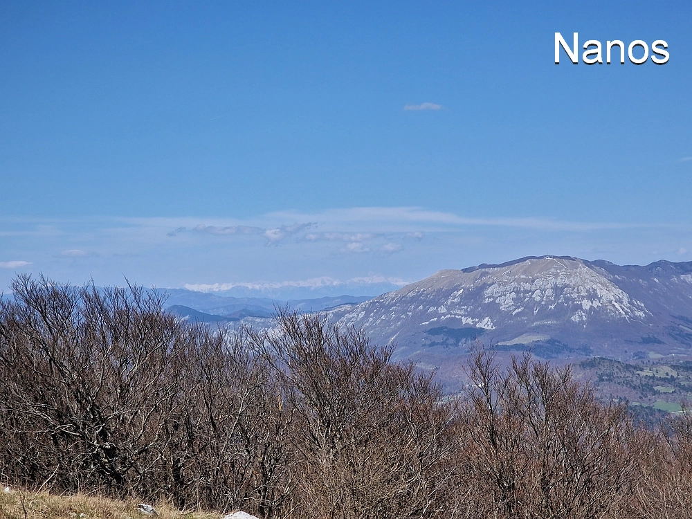 Slika je vidna v Google Chromu.