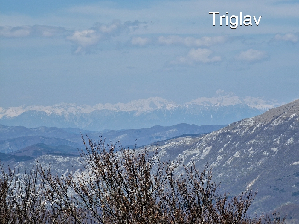 Slika je vidna v Google Chromu.