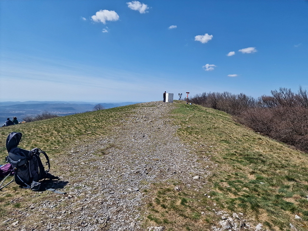 Slika je vidna v Google Chromu.