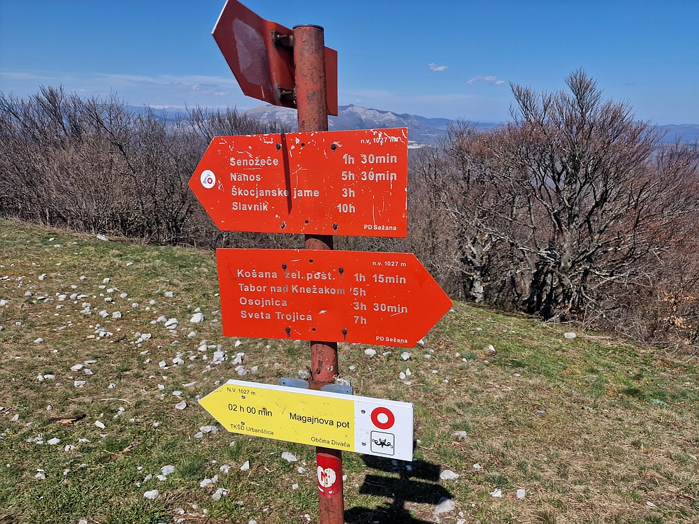 Slika je vidna v Google Chromu.