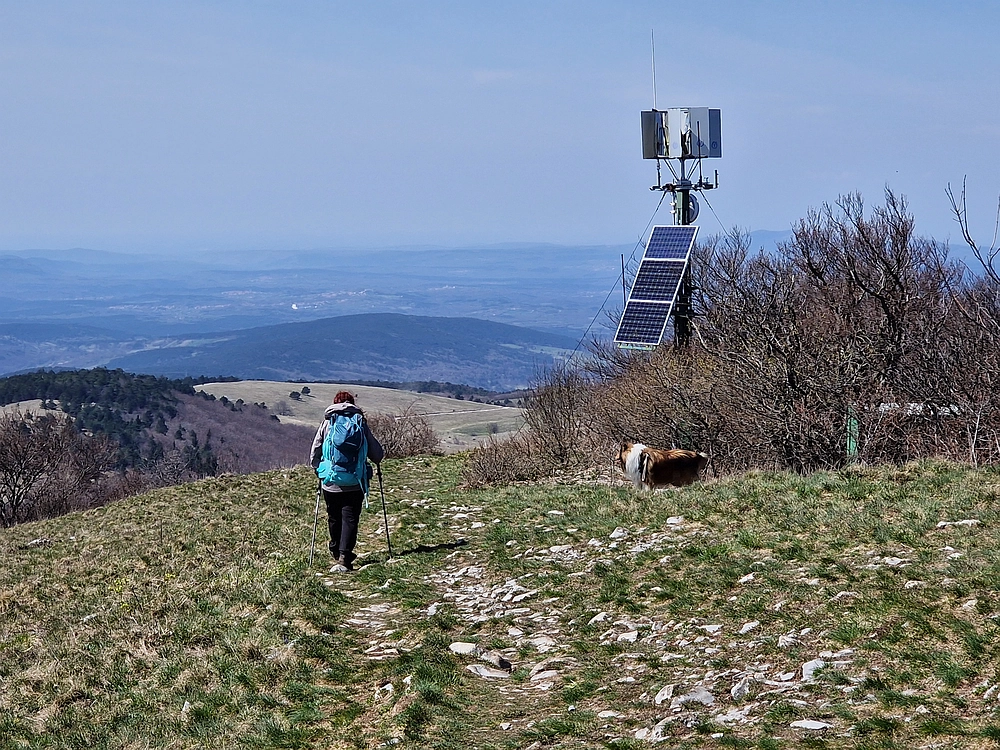 Slika je vidna v Google Chromu.