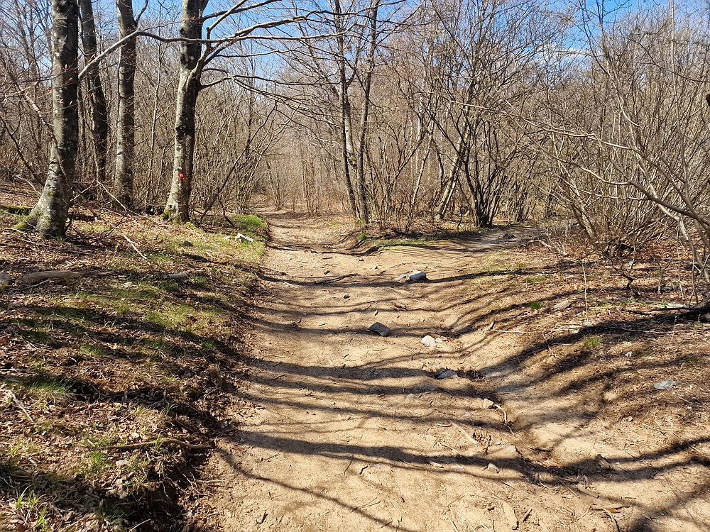 Slika je vidna v Google Chromu.