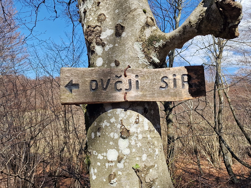 Slika je vidna v Google Chromu.