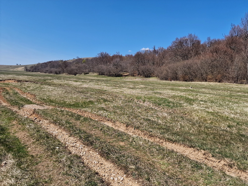 Slika je vidna v Google Chromu.