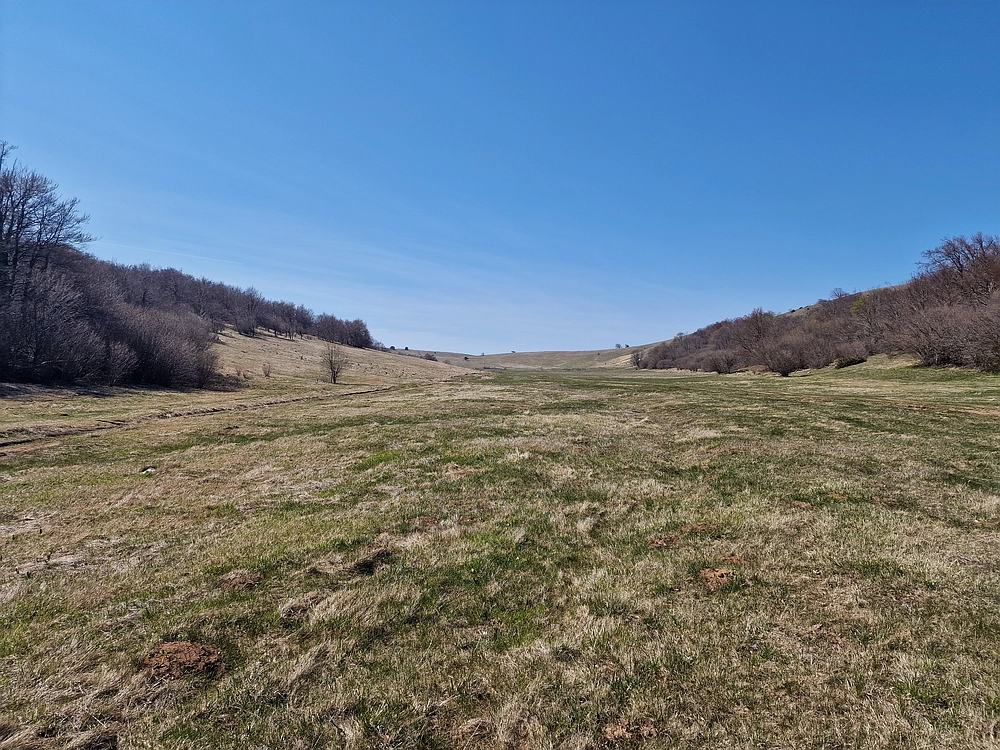 Slika je vidna v Google Chromu.