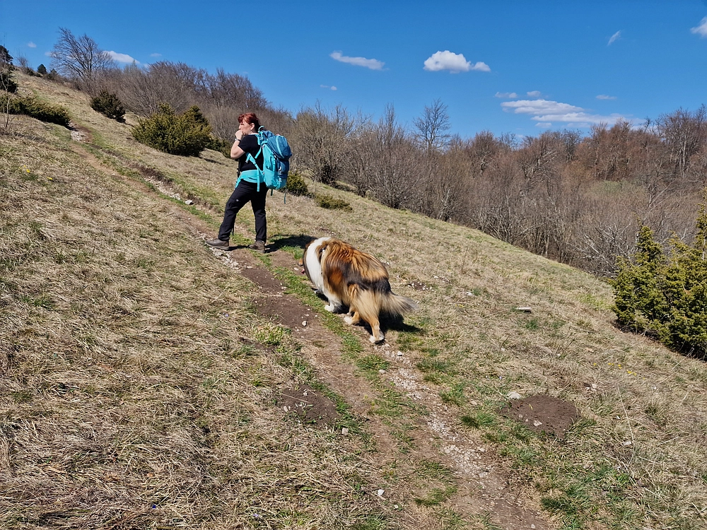 Slika je vidna v Google Chromu.