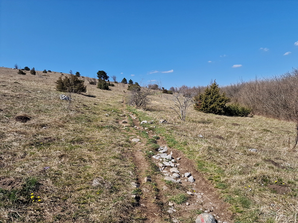 Slika je vidna v Google Chromu.