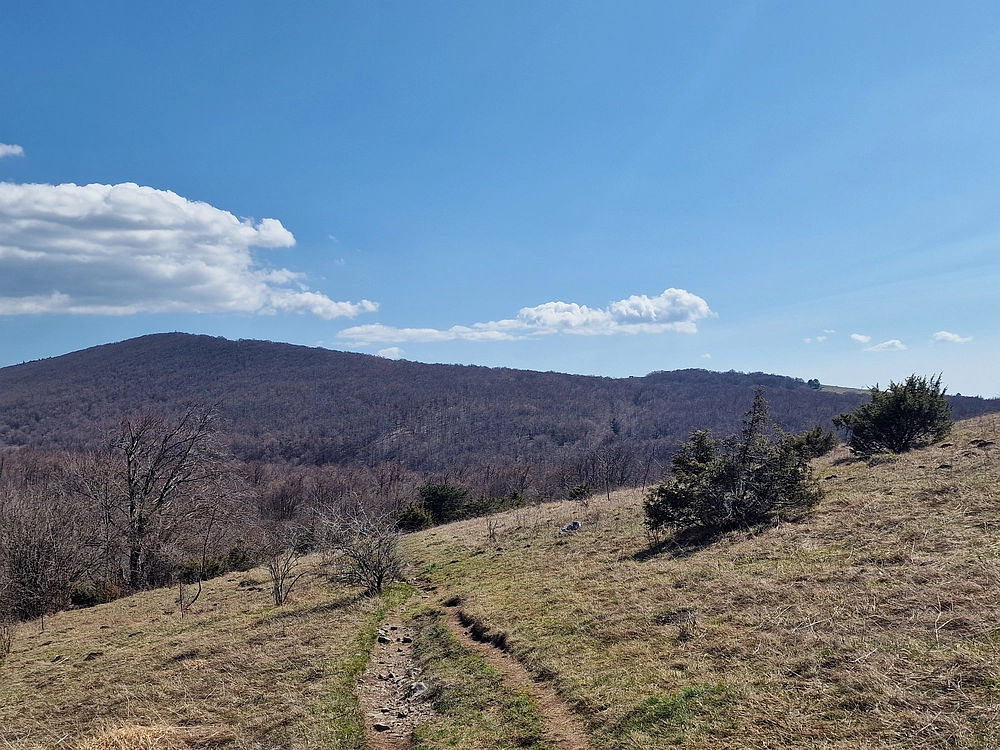 Slika je vidna v Google Chromu.