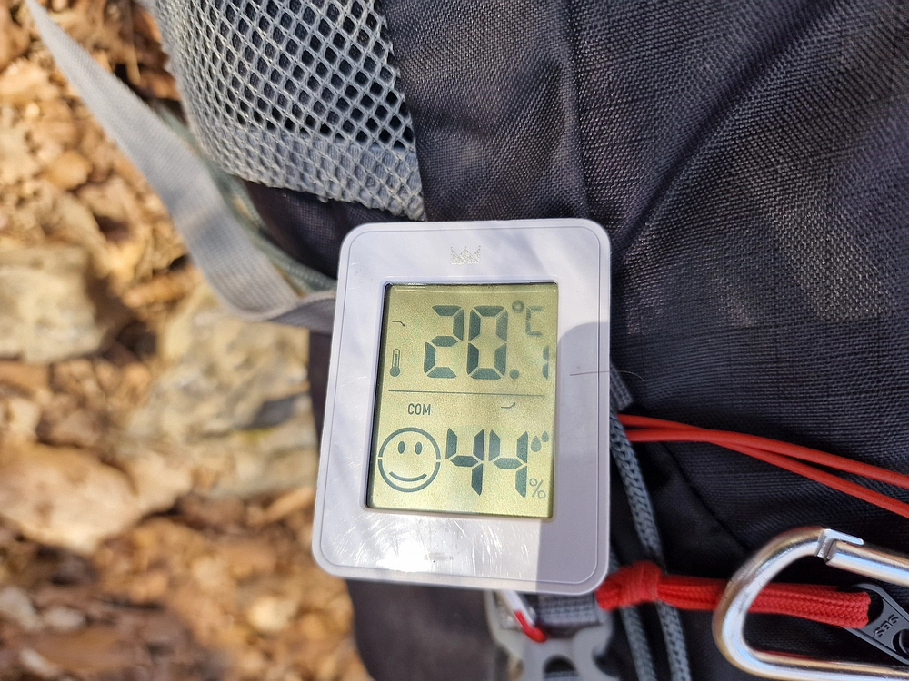 Slika je vidna v Google Chromu.