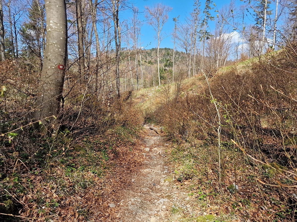 Slika je vidna v Google Chromu.