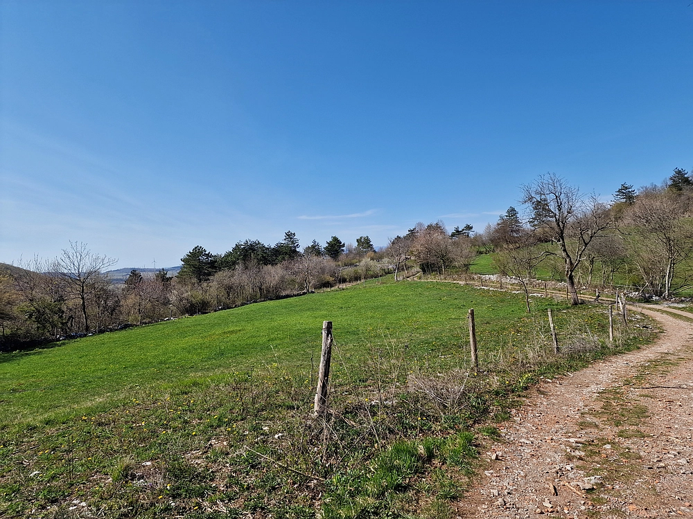 Slika je vidna v Google Chromu.