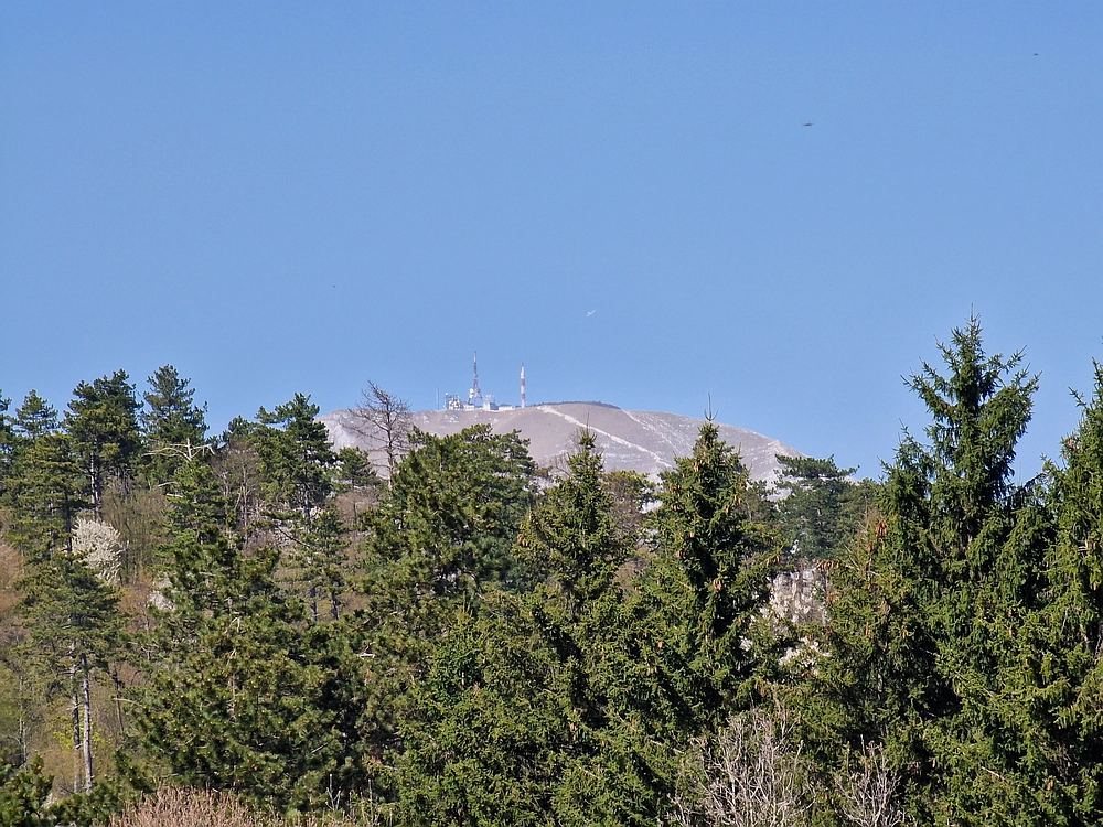 Slika je vidna v Google Chromu.