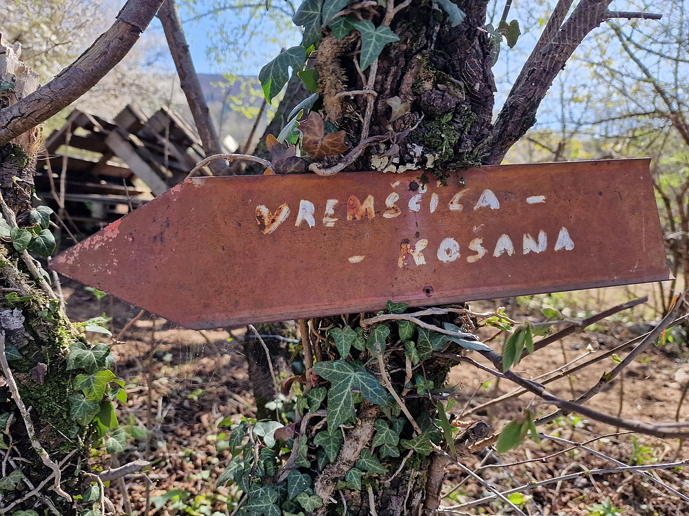 Slika je vidna v Google Chromu.