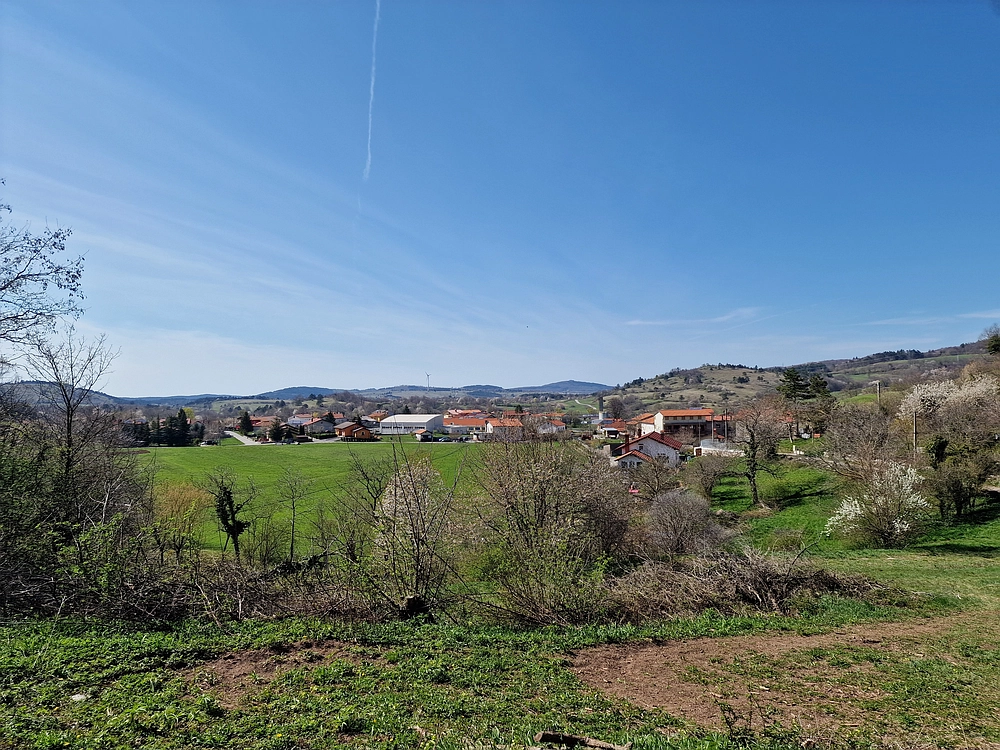 Slika je vidna v Google Chromu.