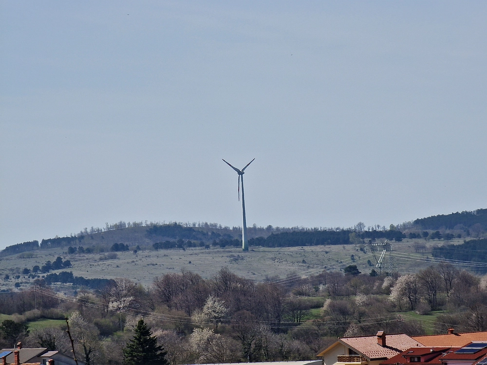 Slika je vidna v Google Chromu.