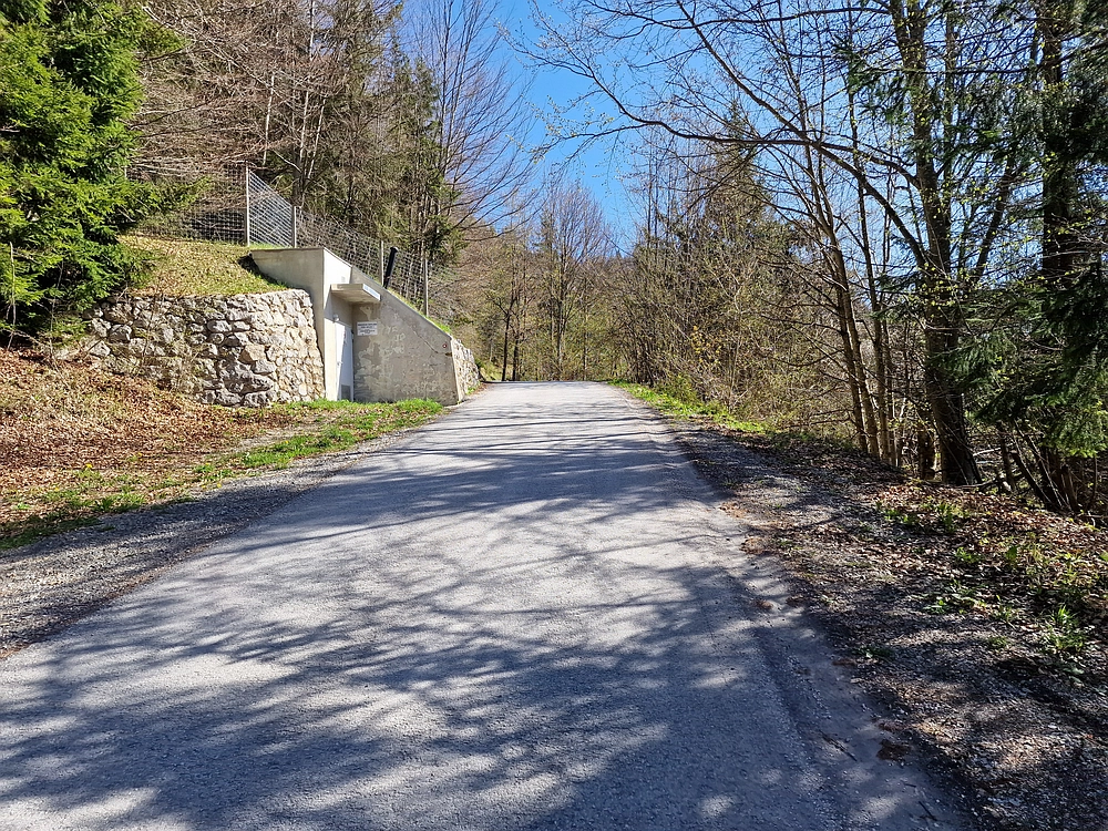 Slika je vidna v Google Chromu.