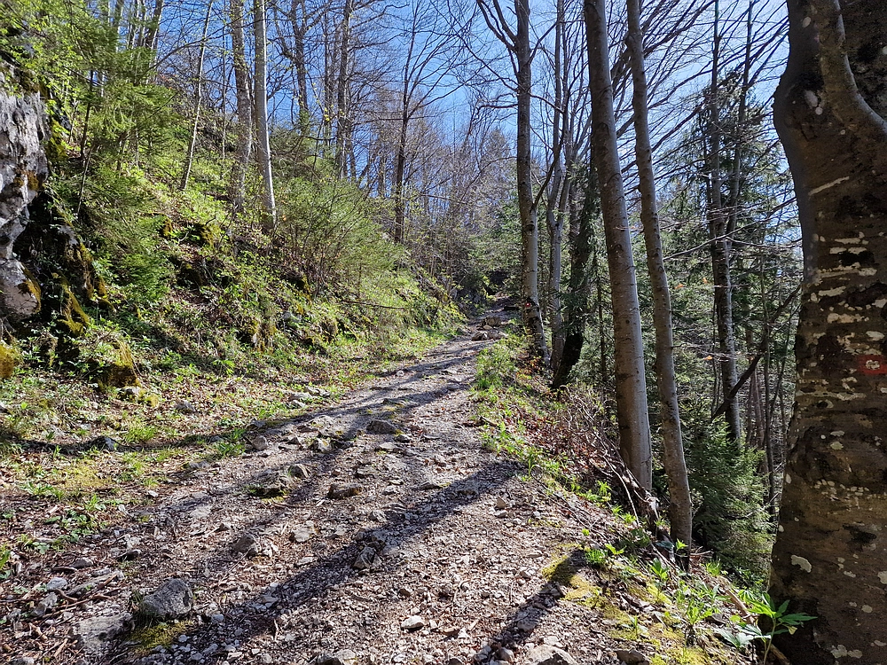 Slika je vidna v Google Chromu.