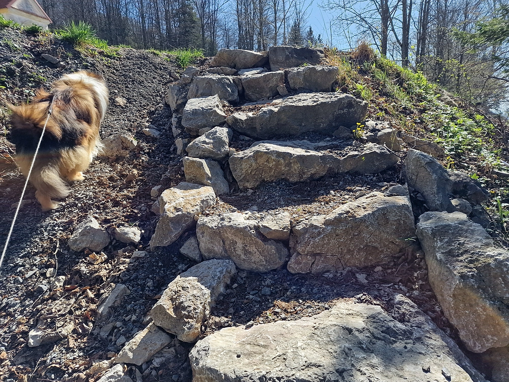 Slika je vidna v Google Chromu.