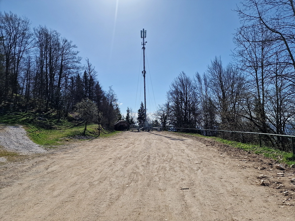 Slika je vidna v Google Chromu.