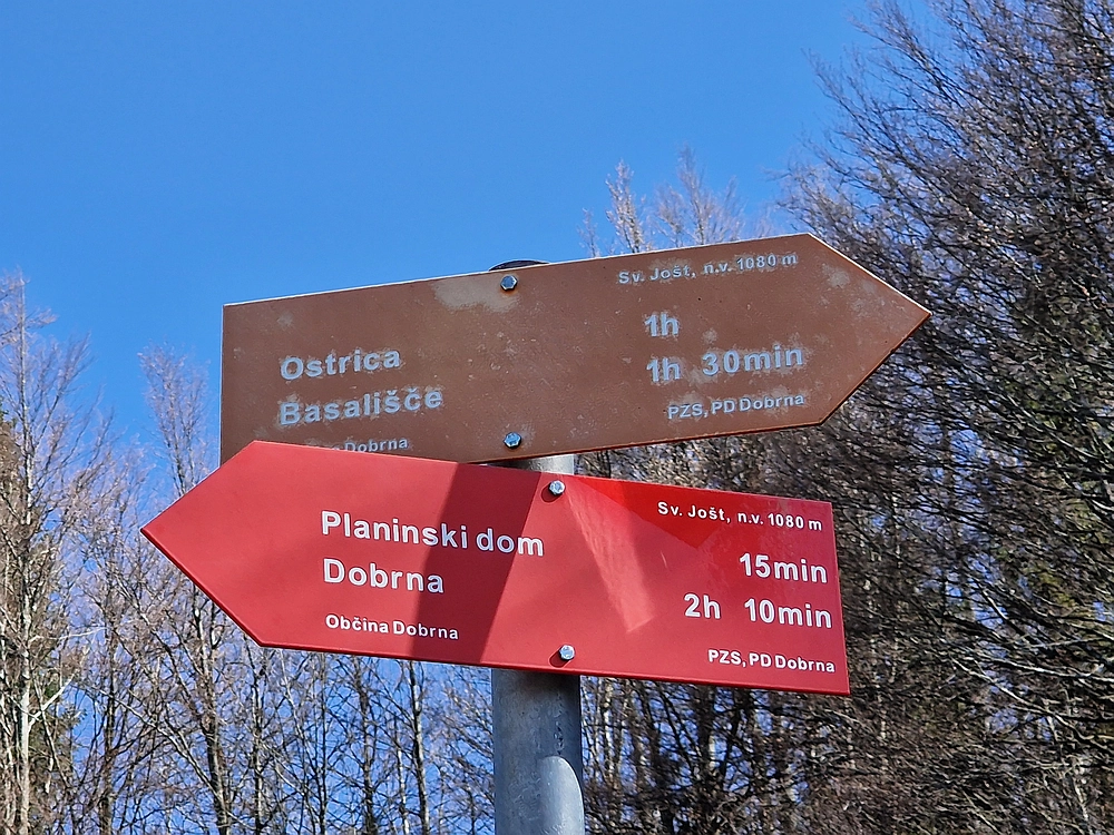 Slika je vidna v Google Chromu.