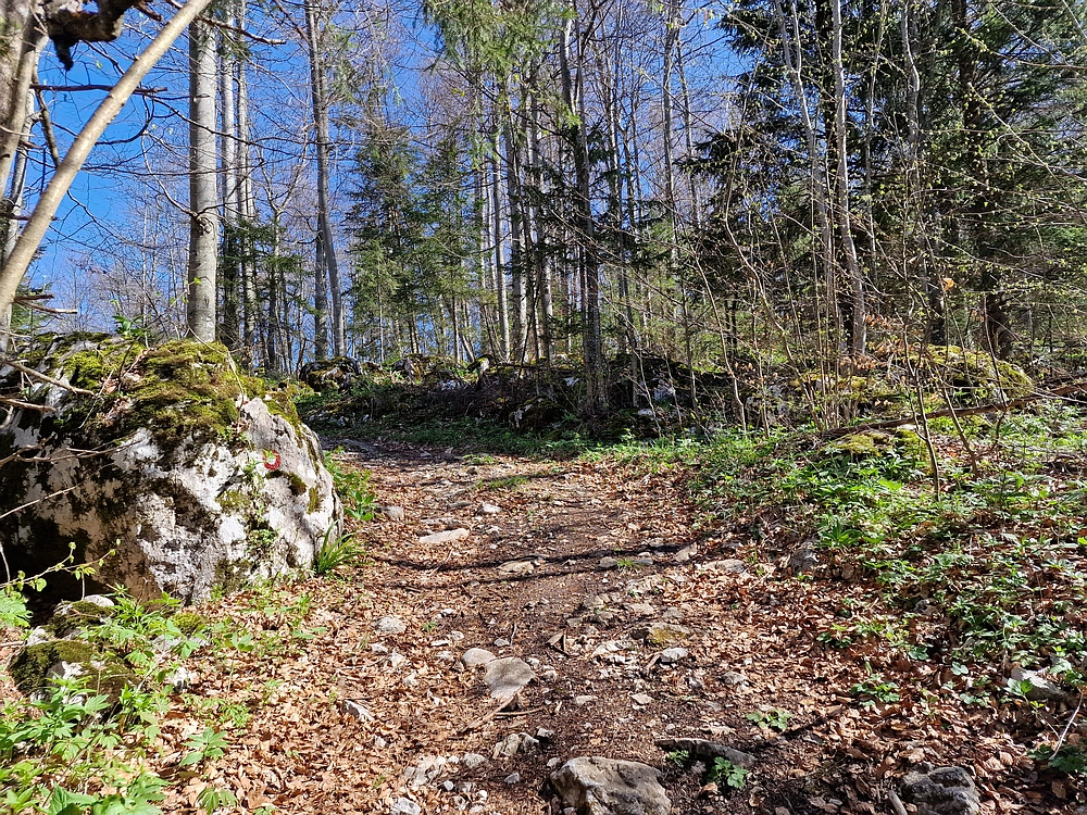Slika je vidna v Google Chromu.