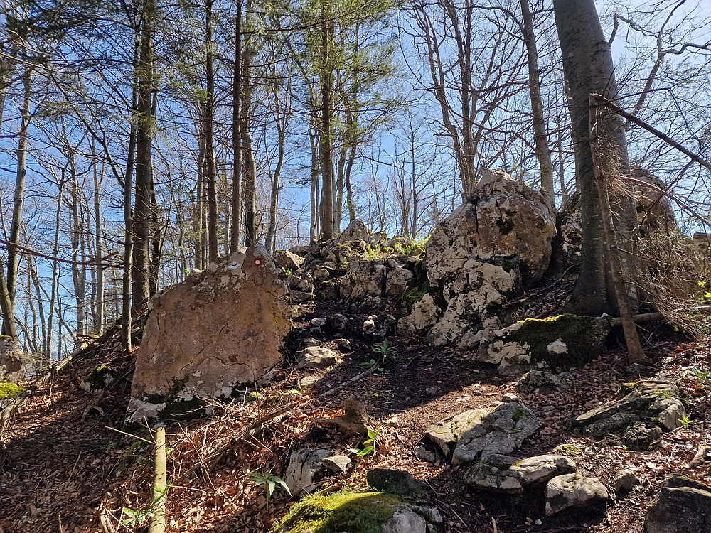 Slika je vidna v Google Chromu.