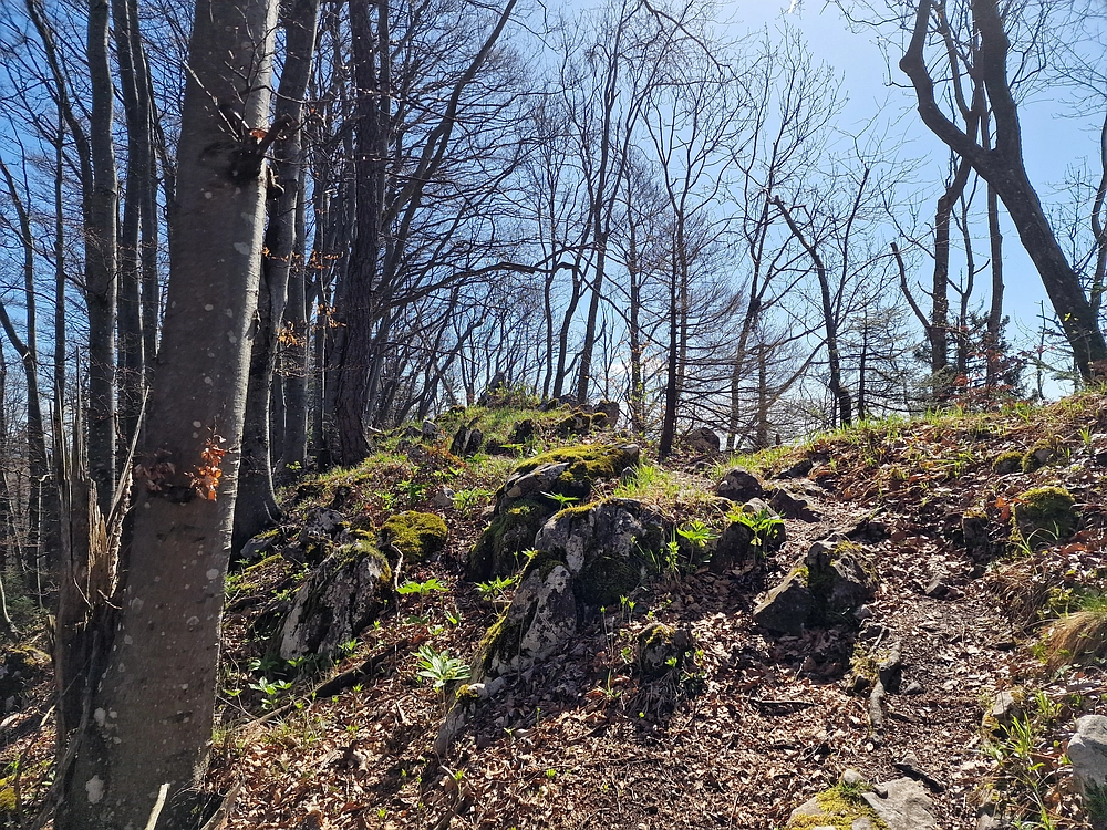 Slika je vidna v Google Chromu.