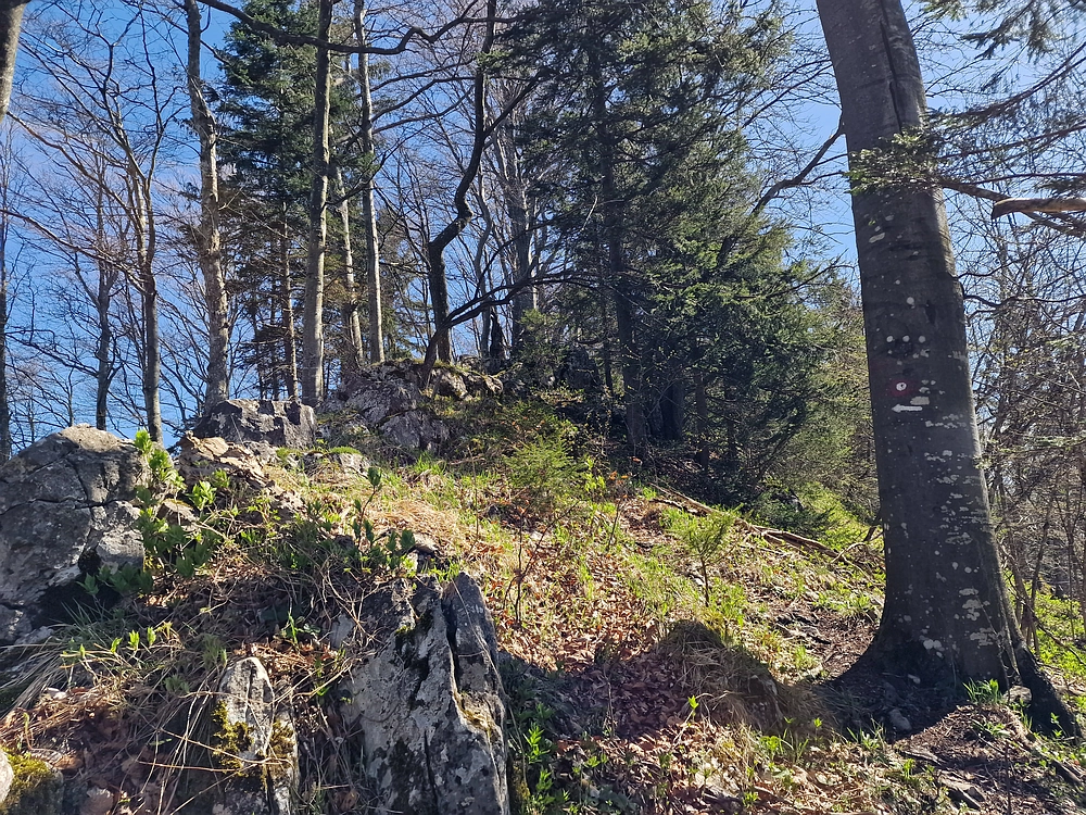 Slika je vidna v Google Chromu.