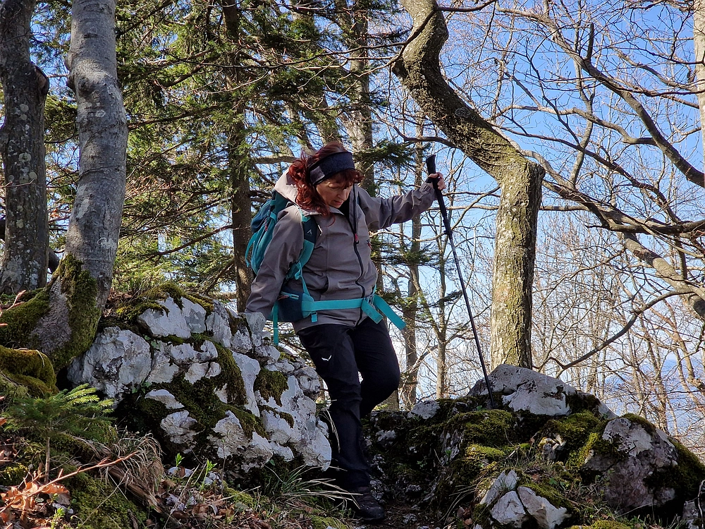 Slika je vidna v Google Chromu.