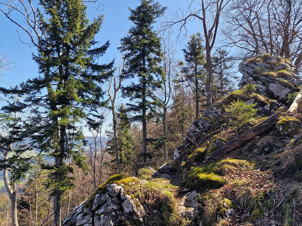 Slika je vidna v Google Chromu.